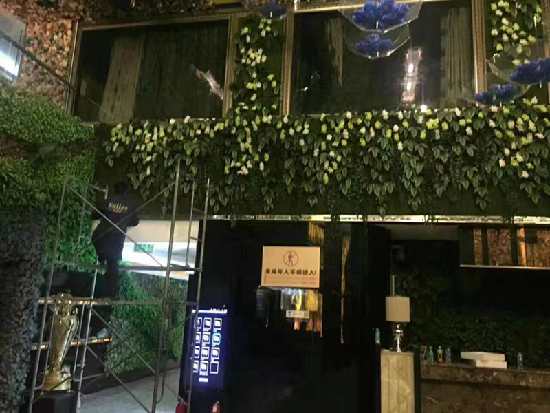 仿真植物